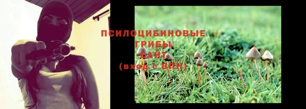 спиды Медвежьегорск