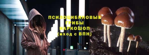 спиды Медвежьегорск